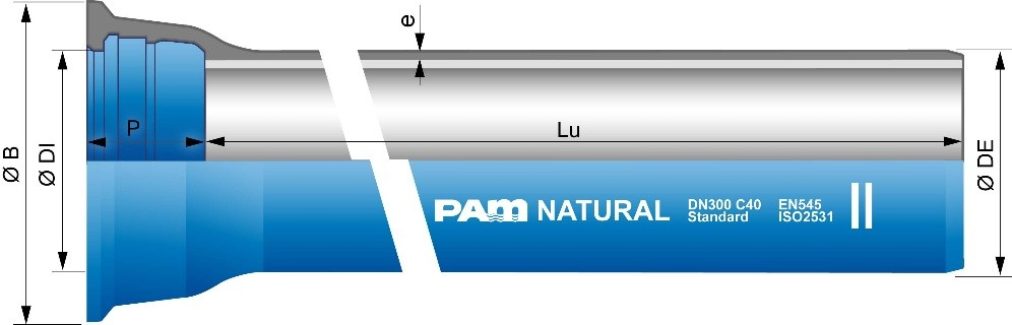 Ductile iron Pipe