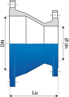 Ductile iron_Reducer.jpg